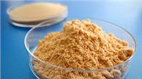 Plant Protein Filter